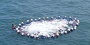 Savage Adventures group swimming in sea