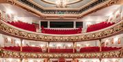 Swansea Grand Theatre auditorium, hundreds of red velvet seats and ornate gold balcony details.