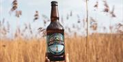 A hand holding a bottle of Lighthouse welsh lager by Gower Brewery