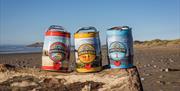 3 kegs of Gower Brewery lagers placed upon a wood log on the beach.