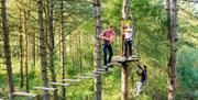 Two friends walking across a wood panel bridge